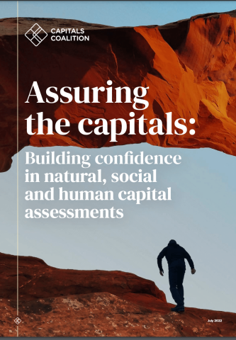 Assuring the Capitals: Building Confidence in Natural, Social & Human Capitals Assessments