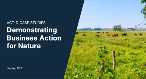 Demonstrating Business Action for Nature