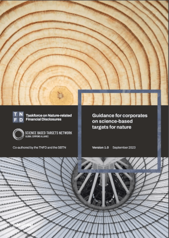 Guia TNFD y SBTN de orientacion para empresas
