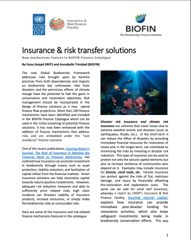 Insurance & risk transfer solutions
