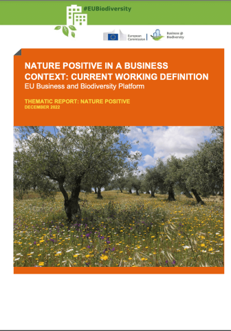 Nature Positive in a Business Context. Current Working Definition