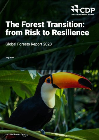 The forest transition_from risk to resilience