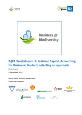 Natural Capital Accounting for Business: Guide to selecting an approach