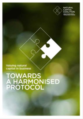 TOWARDS A HARMONISED PROTOCOL