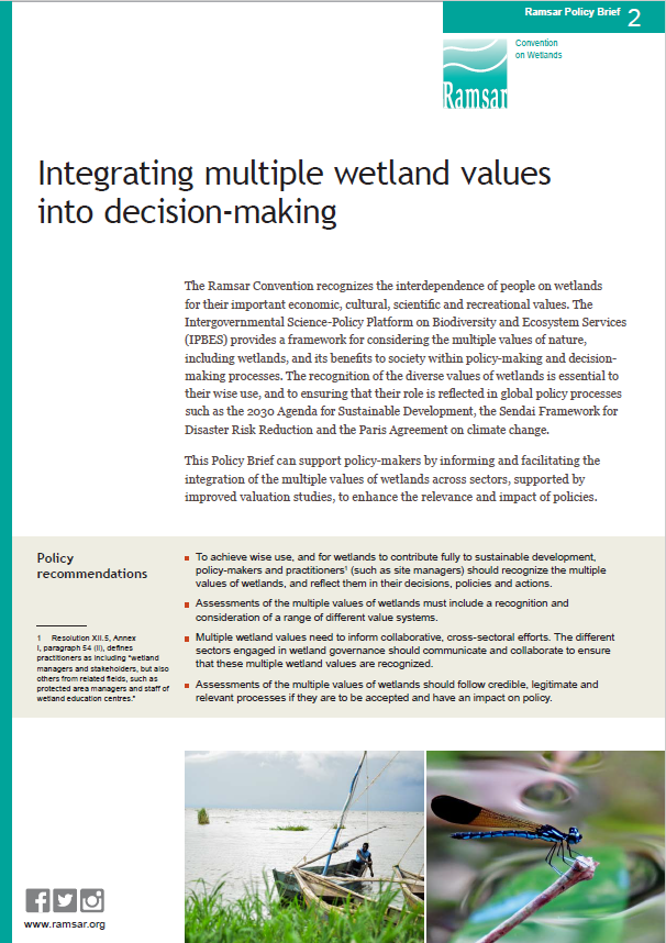 Integrating multiple wetland values into decision-making