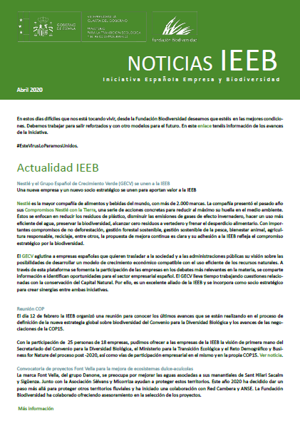 Hoja Informativa IEEB Abril 2020
