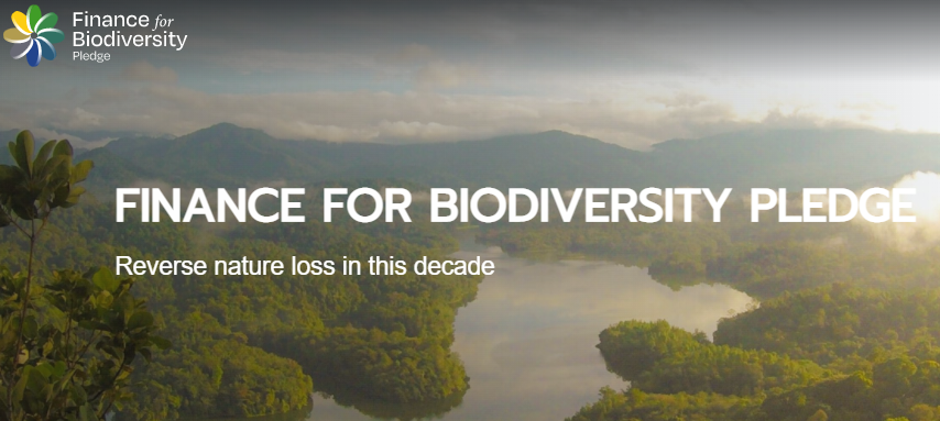 Consultas sobre enfoques de biodiversidad de la Finance for Biodiversity Foundation