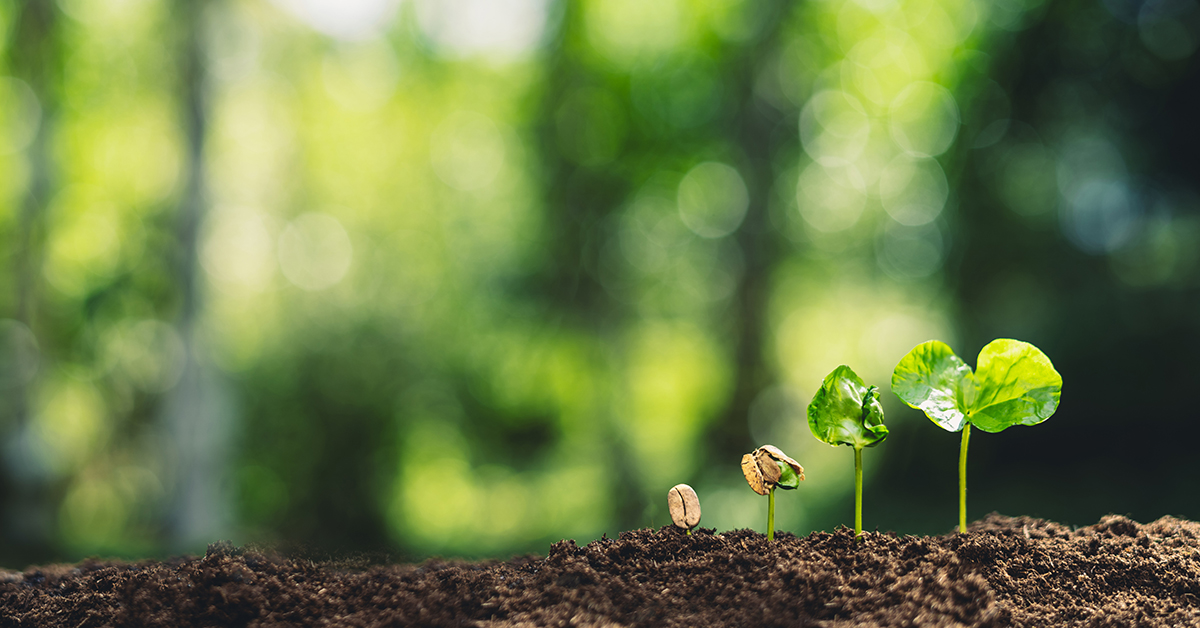 El sector privado actor clave en el Plan Estratégico Estatal del Patrimonio Natural y de la biodiversidad 2030
