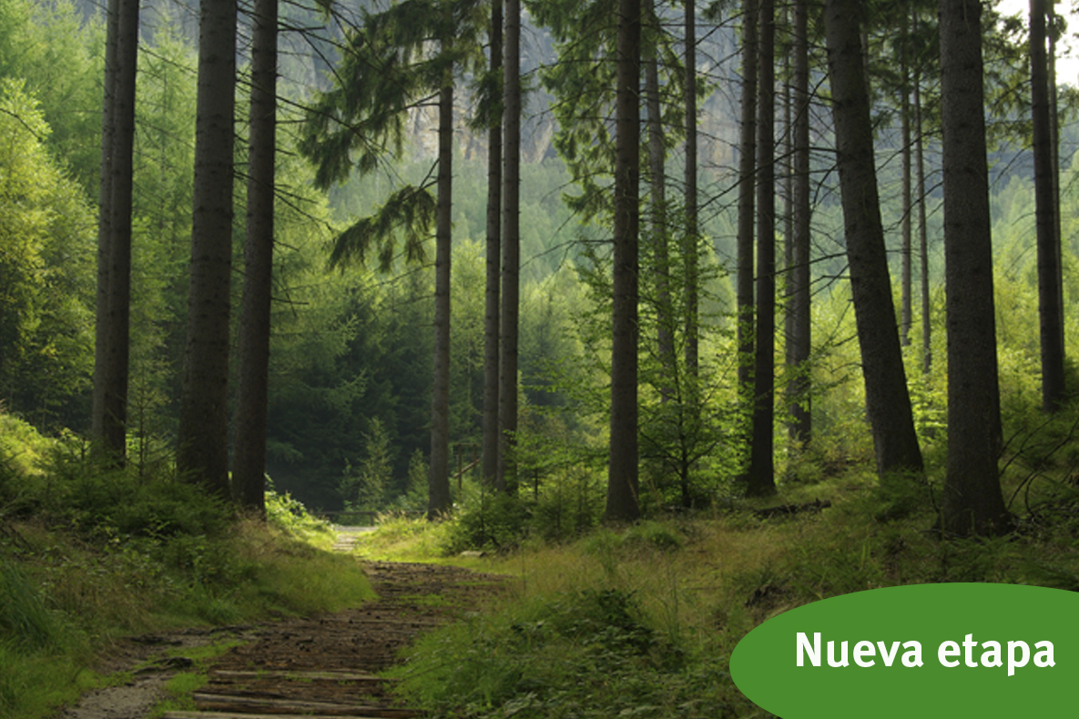 Nueva etapa de la IEEB para fomentar la implicación del sector empresarial en la conservación y restauración de la biodiversidad