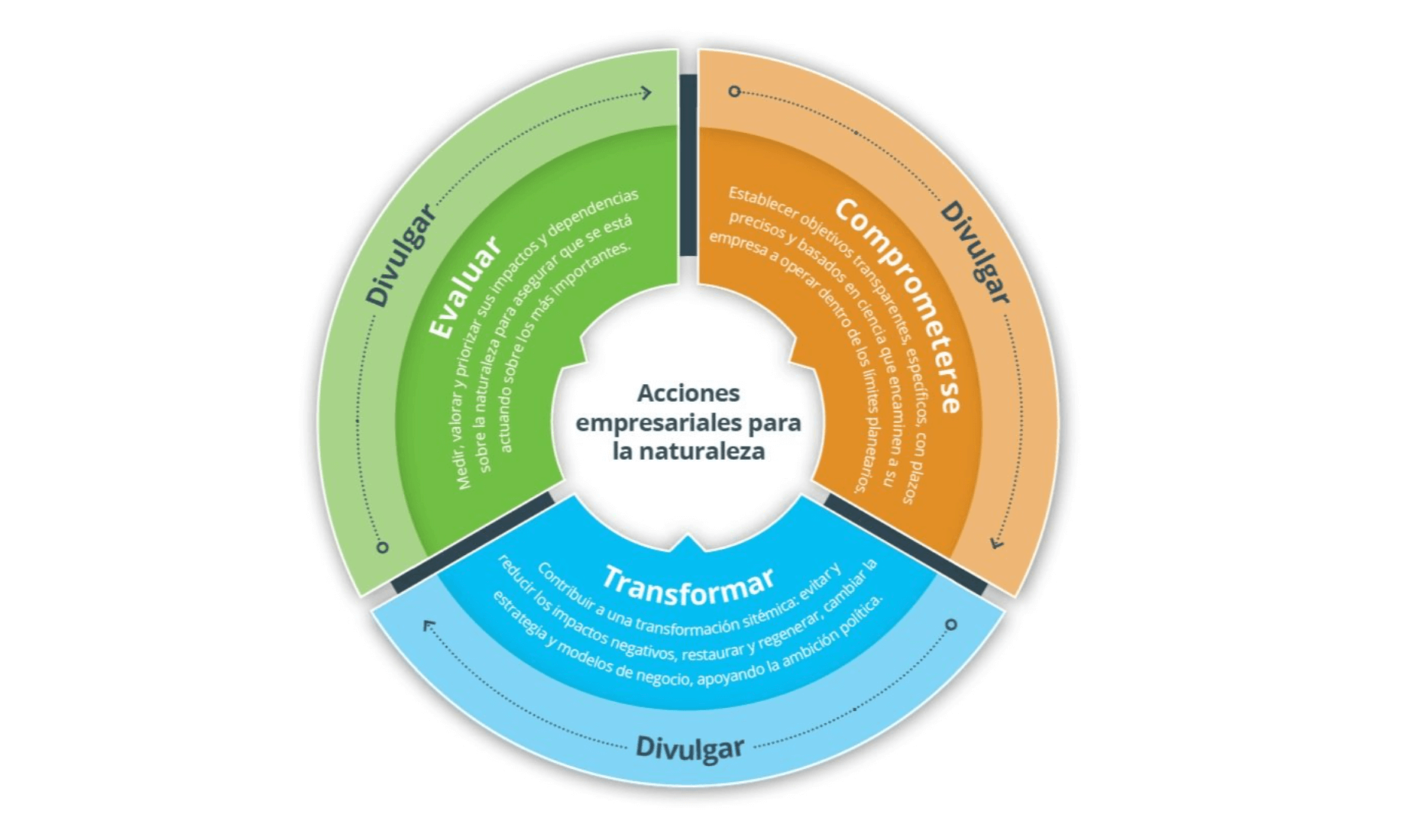 Acciones Empresariales de Alto Nivel para la Naturaleza