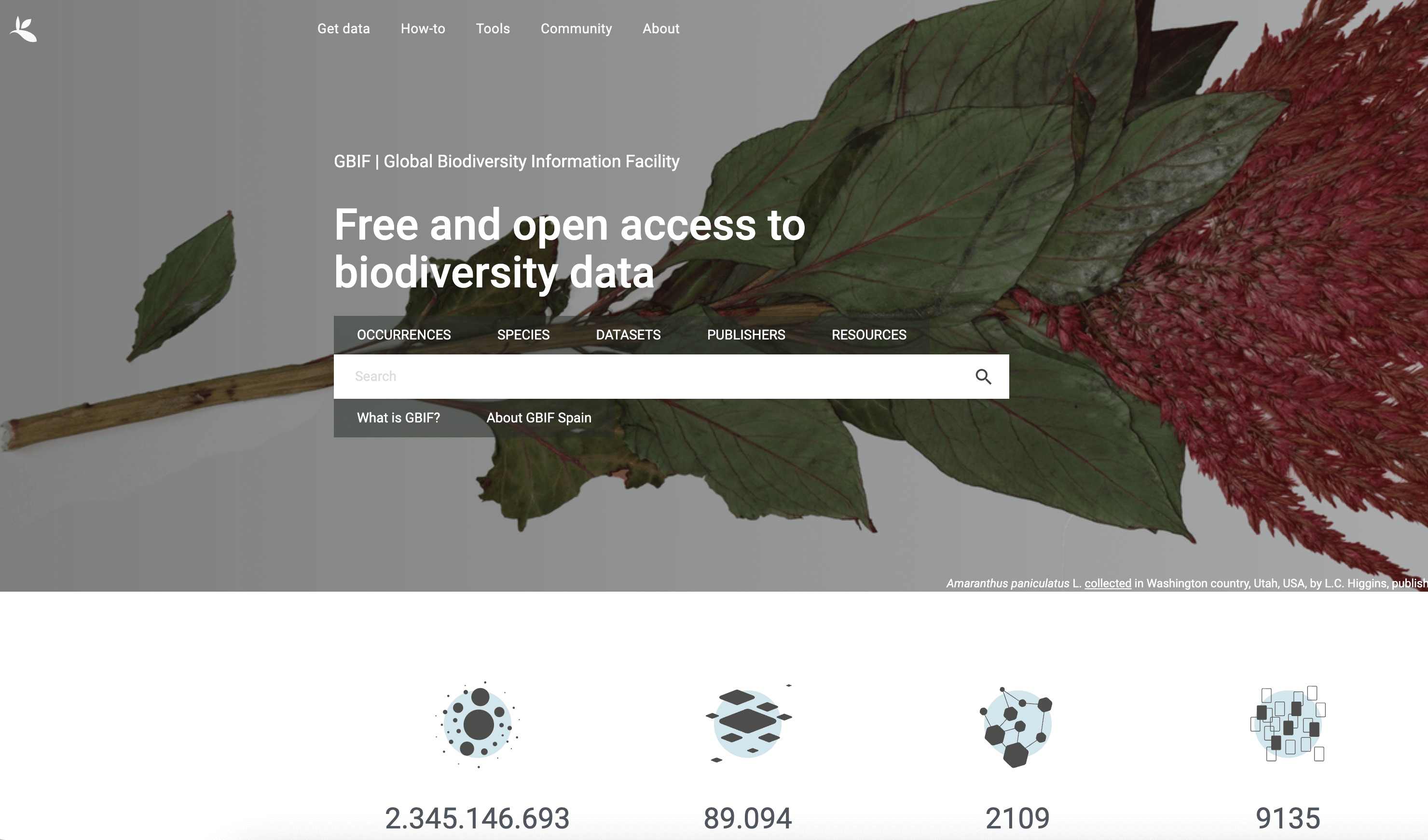 Global Biodiversity Information Facility (GBIF)
