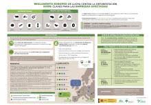 Infografía sobre el Reglamento europeo de lucha contra la deforestación (EUDR): Claves para las empresas afectadas