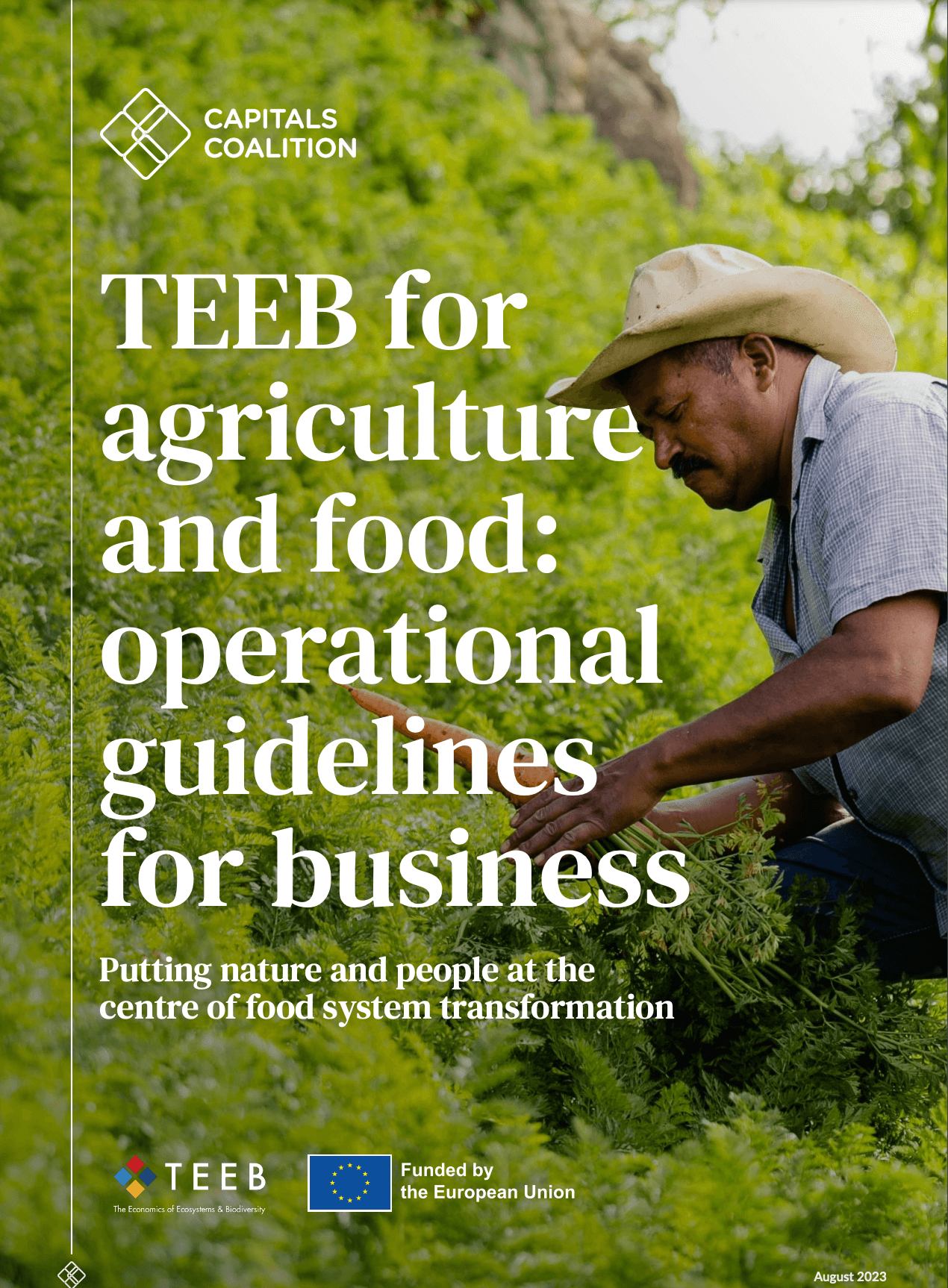 TEEBAgrifood Operational Guidelines for Business