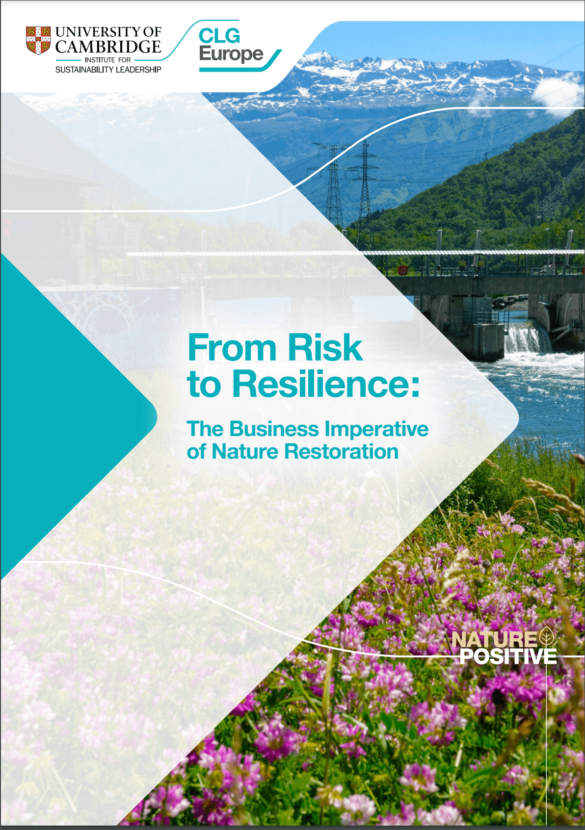 From risk to resilience. The business imperative of nature restoration