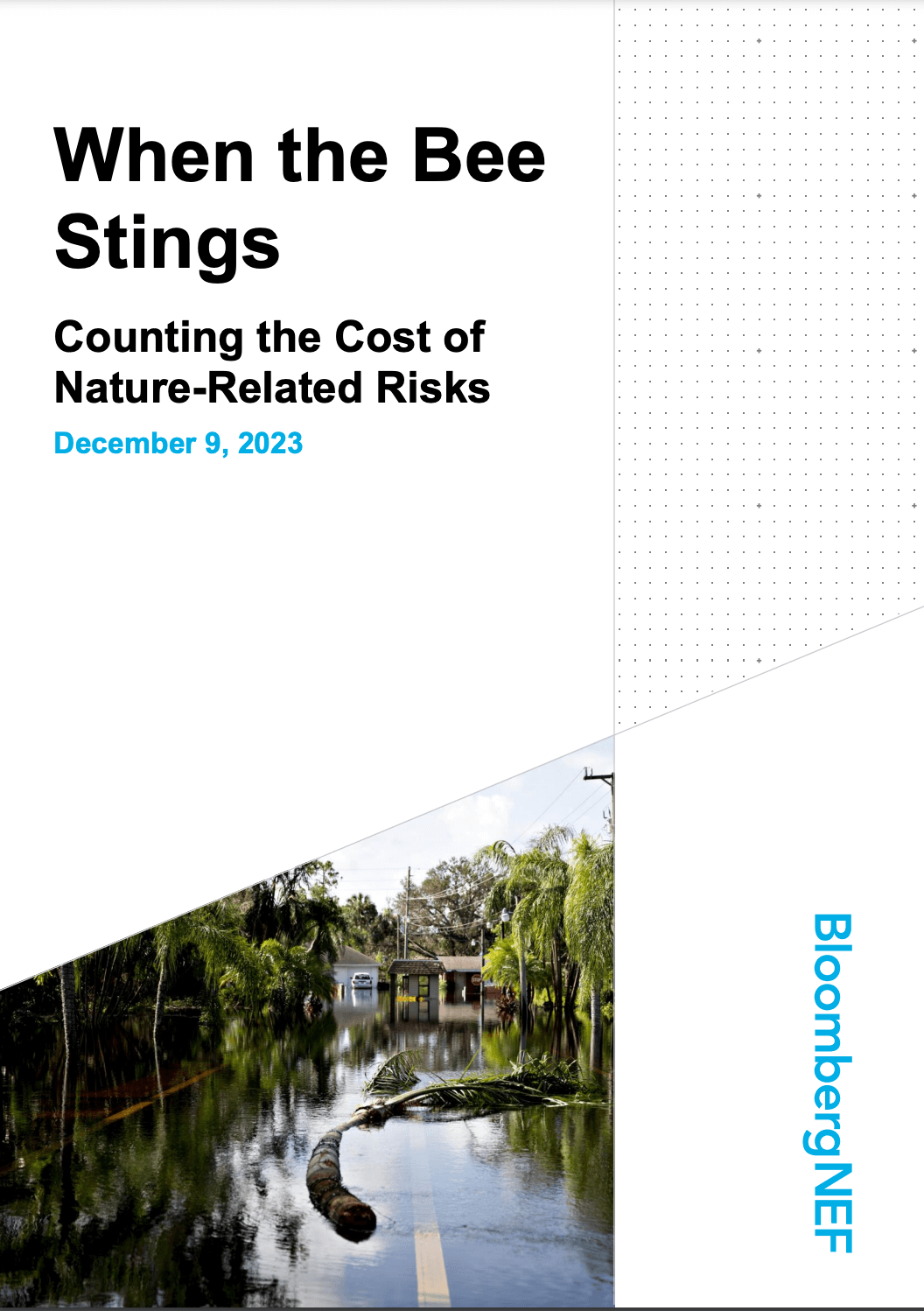 When the bee stings. Counting the Cost of Nature-Related Risks