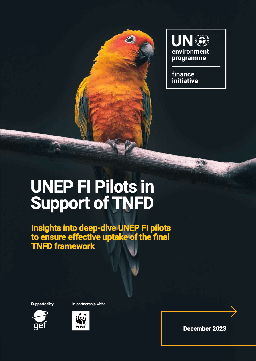 Insights into UNEP FI’s TNFD pilots