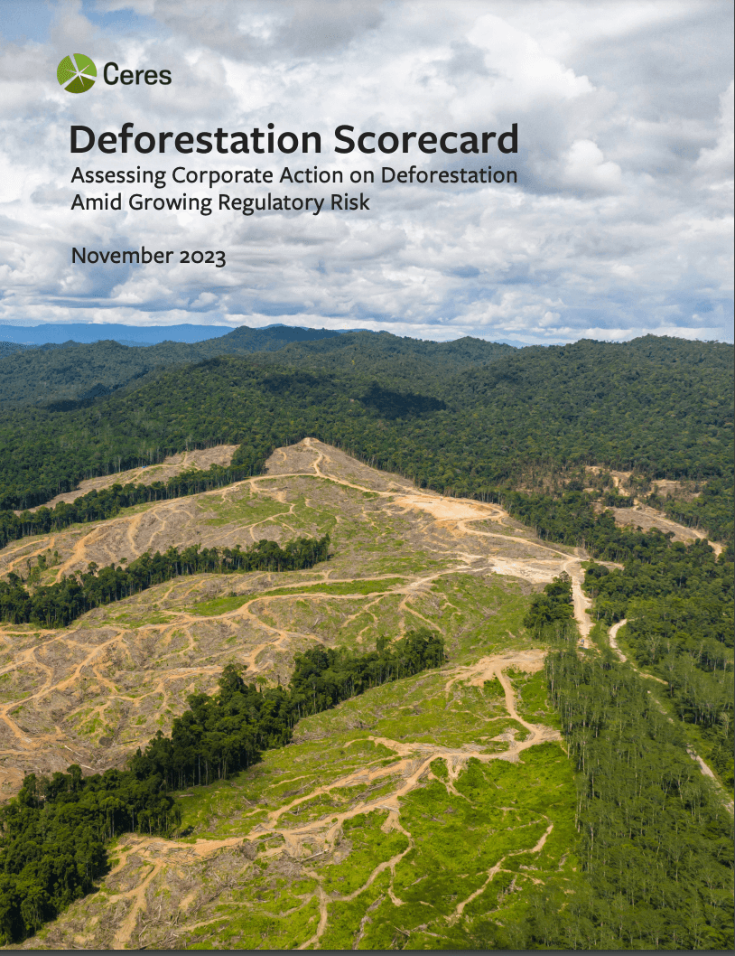 Deforestation Scorecard: Assessing Corporate Action on Deforestation Amid Growing Regulatory Risk