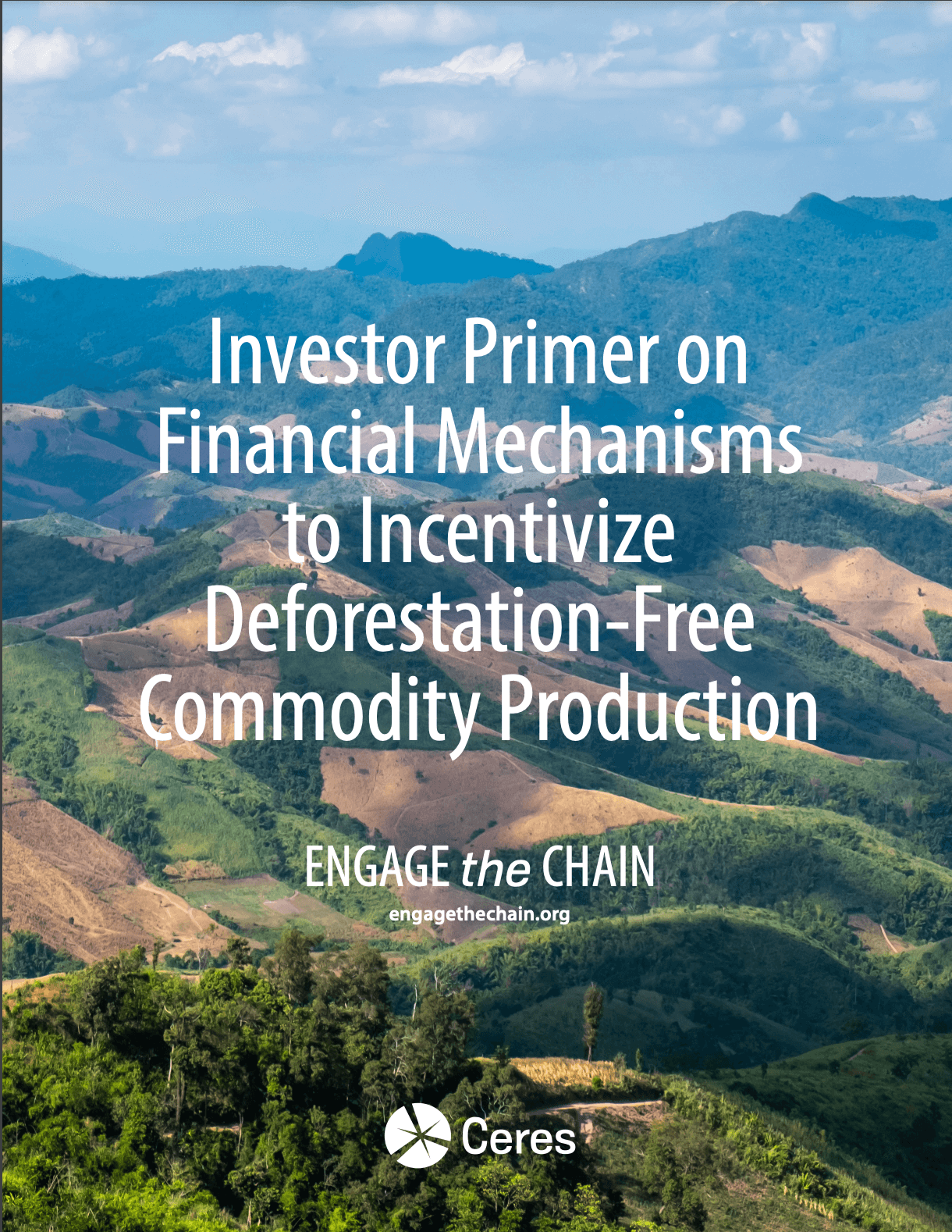 Investor Primer on Financial Mechanisms to Incentivize Deforestation-Free Commodity Production