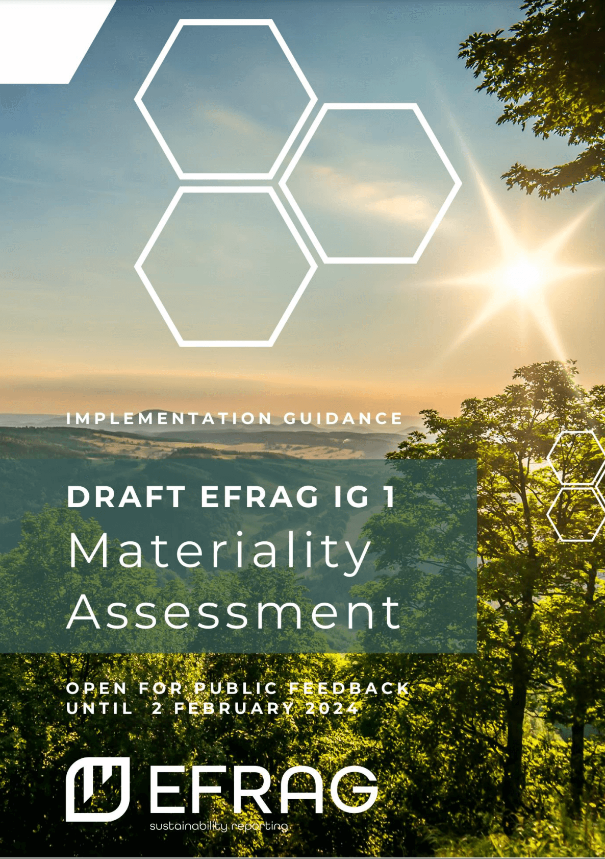 Draft EFRAG IG 1: Materiality assessment implementation guidance