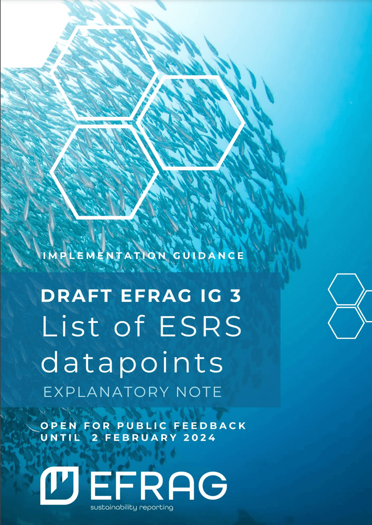 Draft EFRAG IG 3: Detailed ESRS datapoints implementation guidance