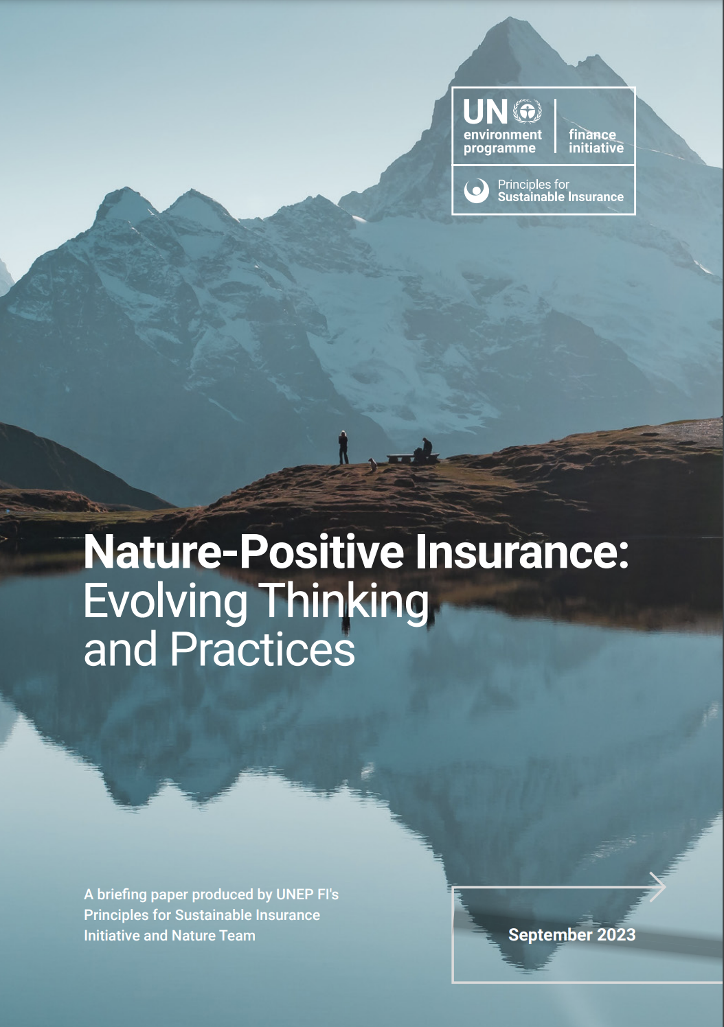Nature-Positive Insurance: Evolving Thinking and Practices