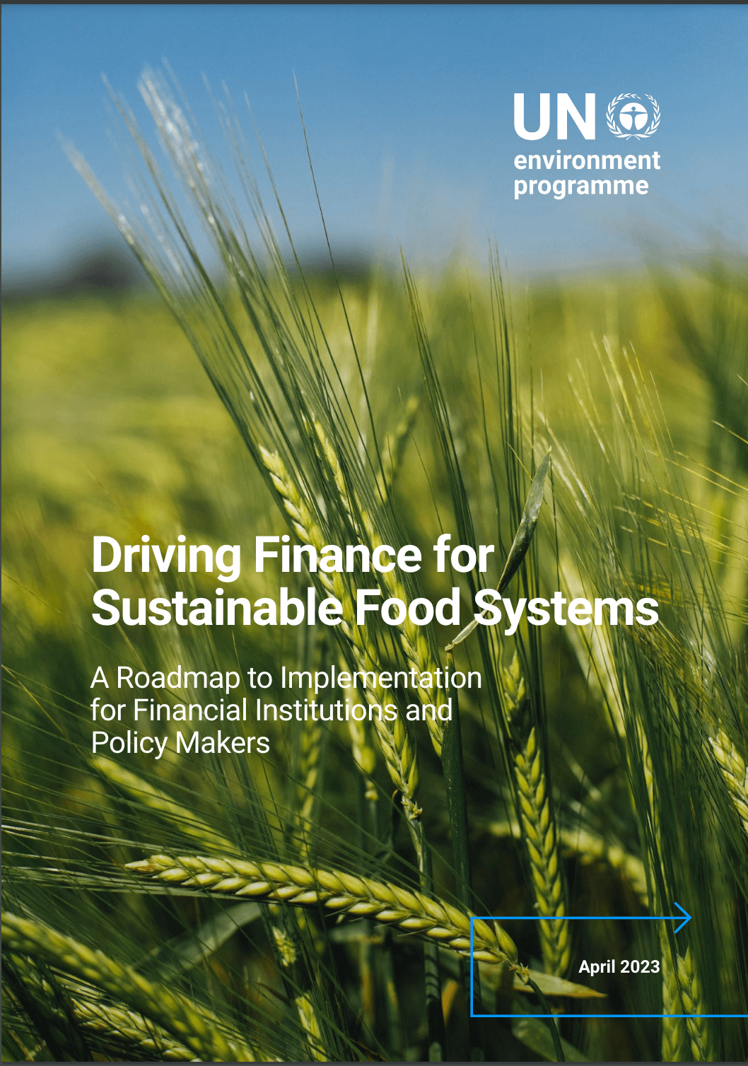 Driving Finance for Sustainable Food Systems: A Roadmap to Implementation for Financial Institutions and Policy Makers