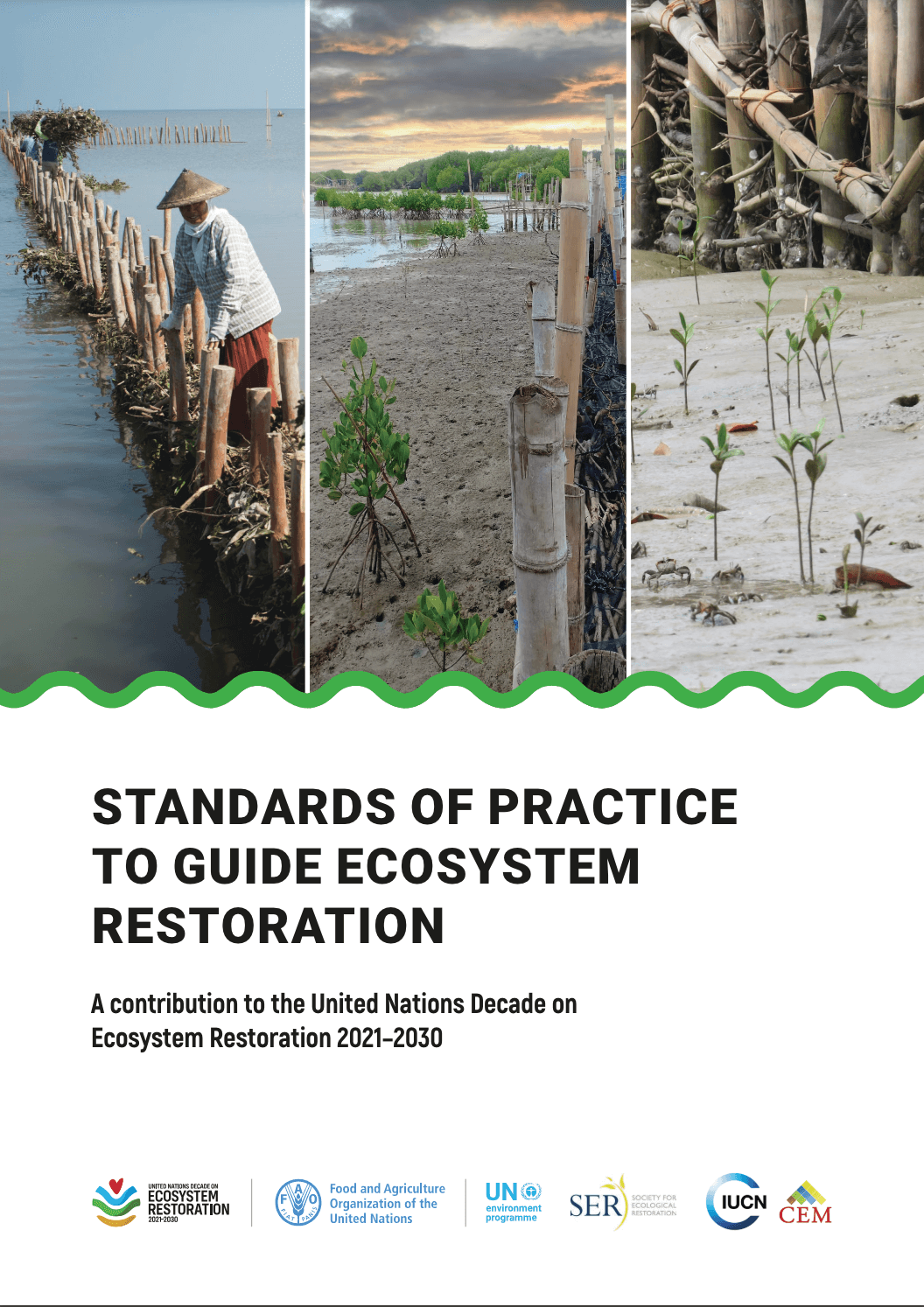 Standards of practice to guide ecosystem restoration