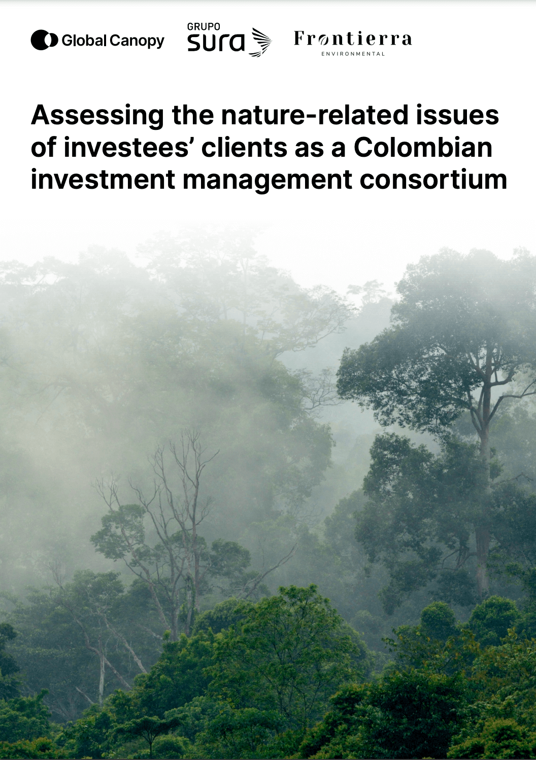 Assessing the nature-related issues of investees’ clients as a Colombian investment management consortium