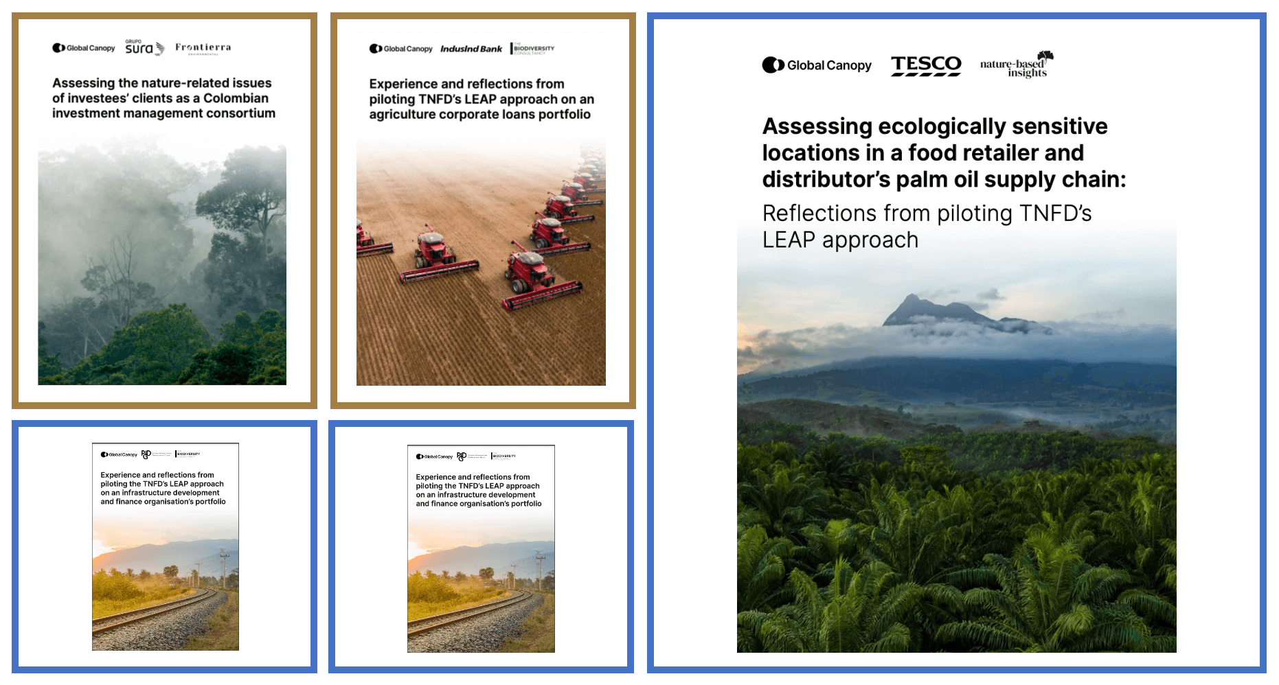 Pilotos de aplicación del enfoque LEAP del TNFD en las finanzas, las infraestructuras y el sector de la alimentación