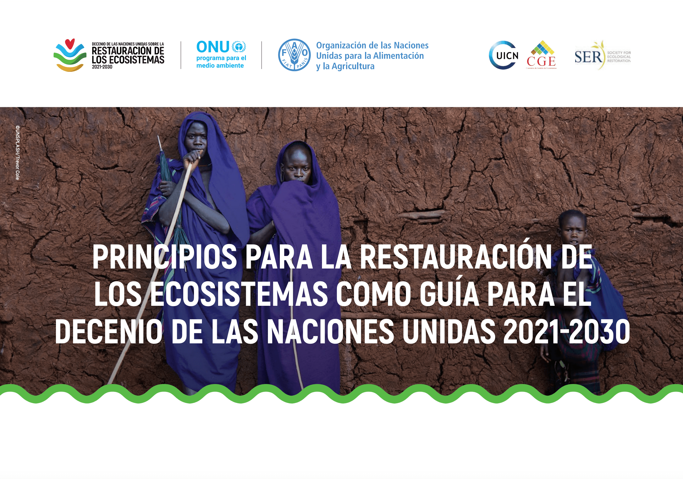 Principios para la restauración de los ecosistemas como guía para el Decenio de las Naciones Unidas 2021-2030