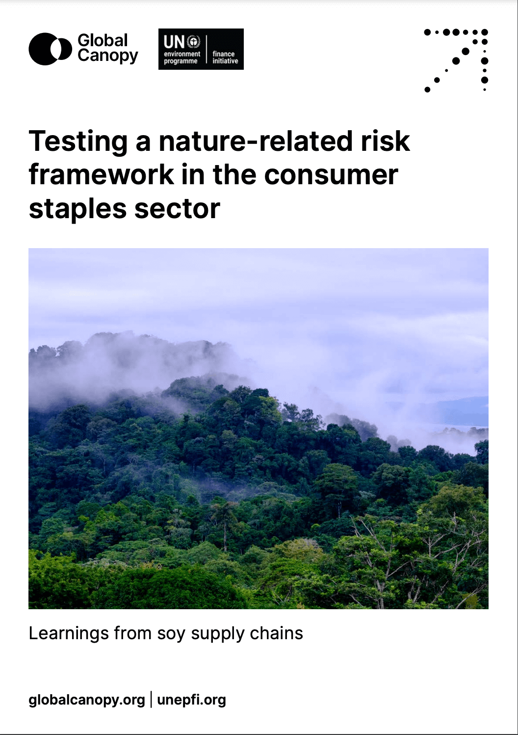 Testing a nature-related risk framework in the consumer staples sector. Learnings from soy supply chains