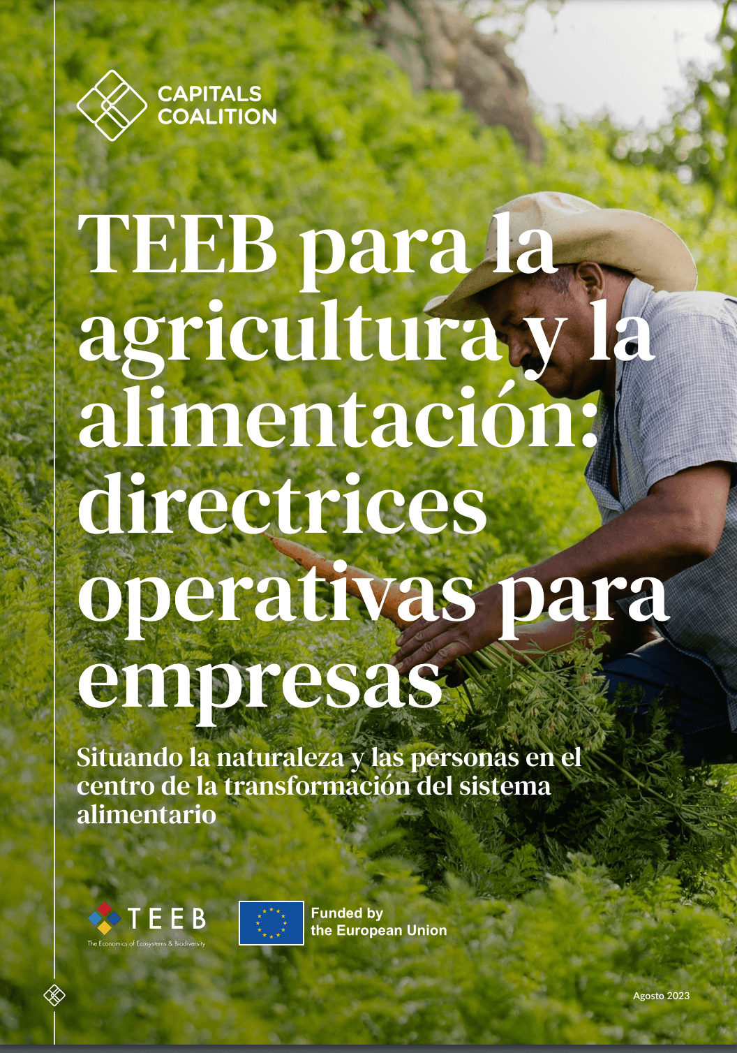 TEEB para la agricultura y la alimentación: directrices operativas para empresas