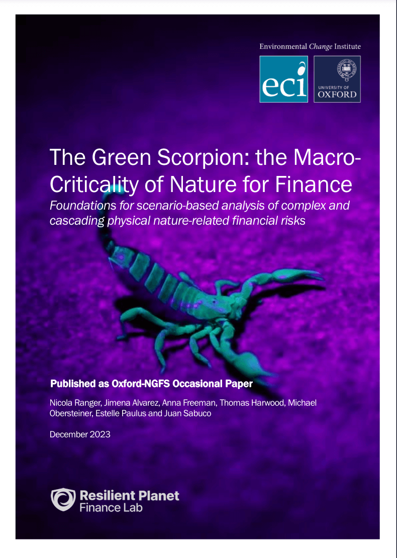 The Green Scorpion: the Macro Criticality of Nature for Finance. Foundations for scenario-based analysis of complex and cascading physical nature-related financial risks