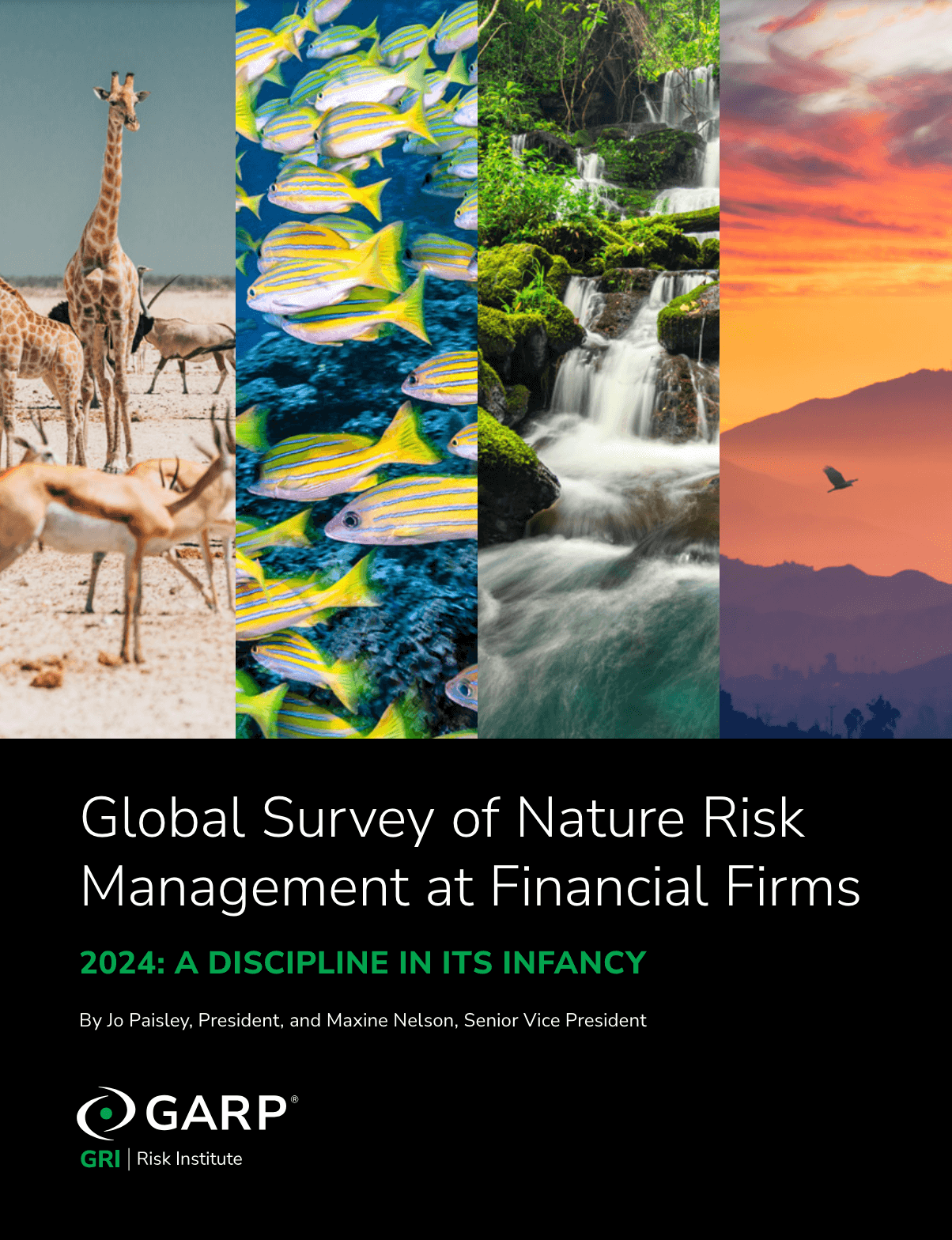 Global Survey of Nature Risk Management at Financial Firms. 2024: A Discipline in Its Infancy