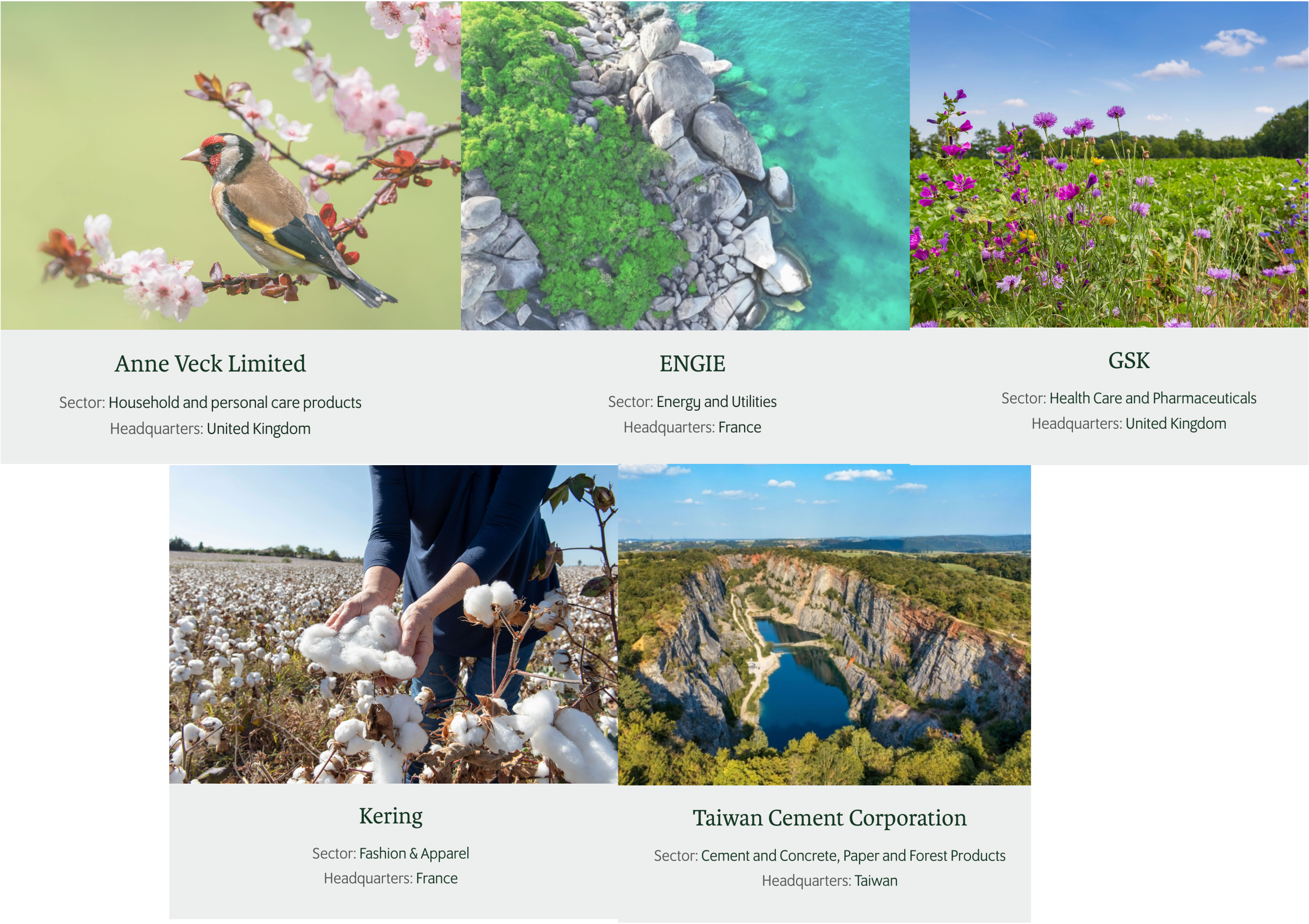 «Es Ahora para la Naturaleza»: Primeros Manuales de Estrategias para la Naturaleza publicados