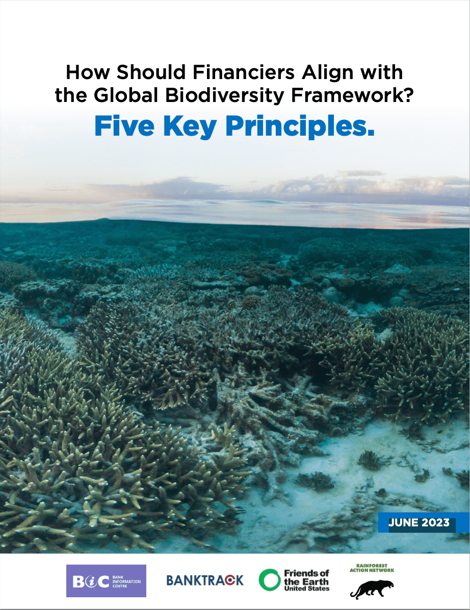 How Should Financiers Align with the Global Biodiversity Framework?  Five Key Principles