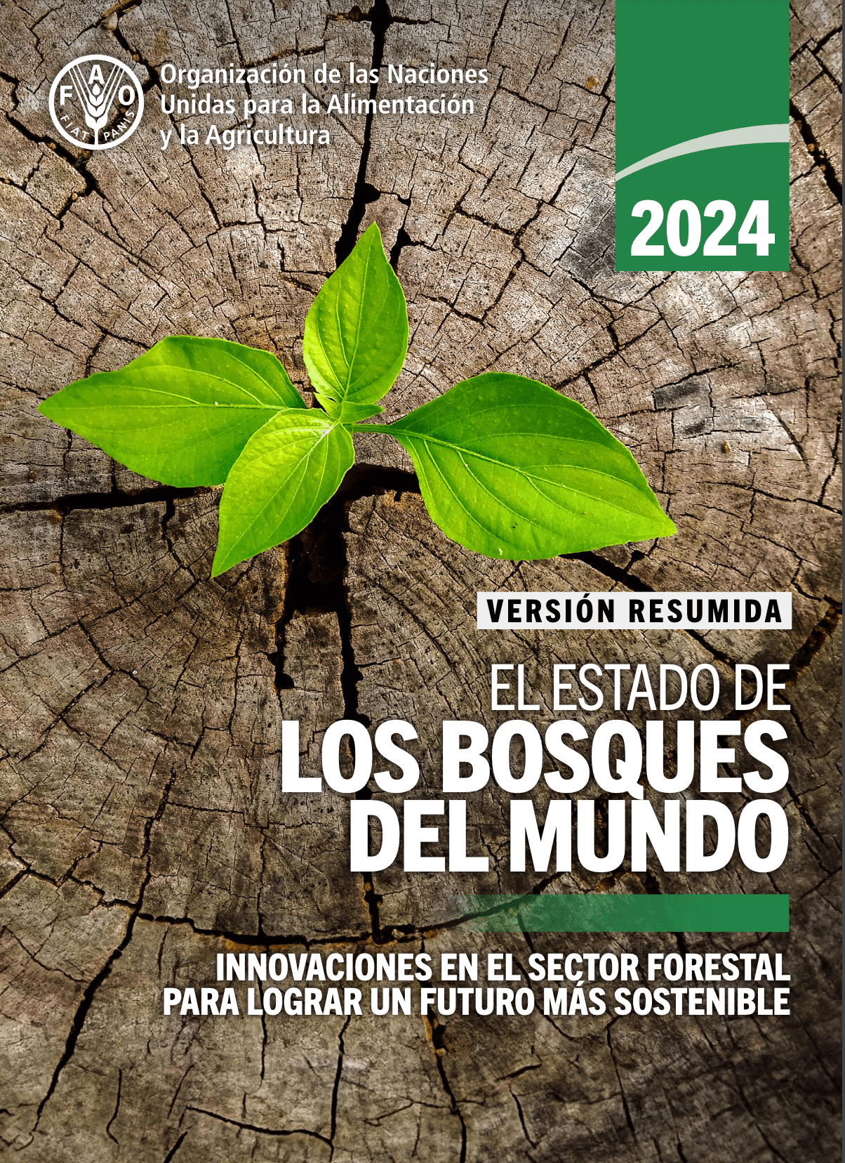 El Estado de los Bosques del Mundo 2024