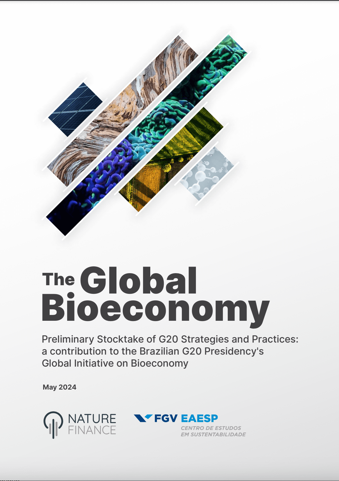 The Global Bioeconomy. Preliminary Stocktake of G20 Strategies and Practices: a contribution to the Brazilian G20 Presidency’s Global Initiative on Bioeconomy