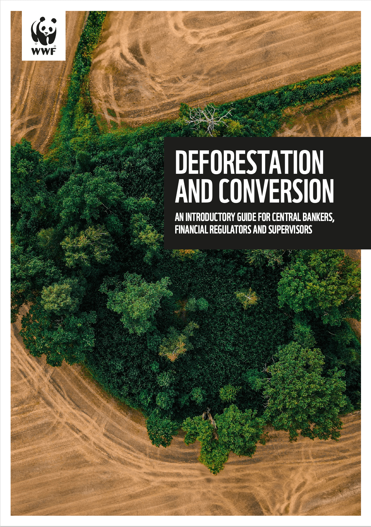 Deforestation and conversion