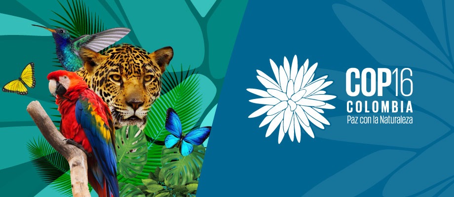La IEEB en la COP16 de Diversidad Biológica