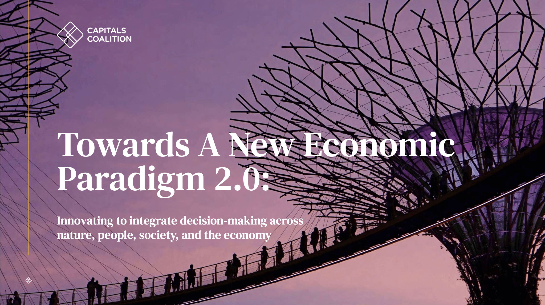 Towards A New Economic Paradigm 2.0: Innovating to integrate decision-making across nature, people, society and the economy