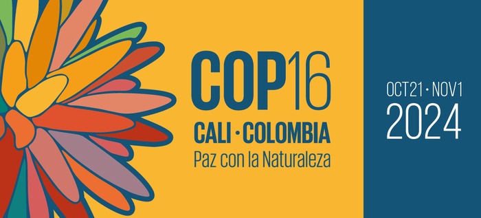 El papel de la Iniciativa Española Empresa y Biodiversidad en la COP 16 del Convenio sobre Diversidad Biológica