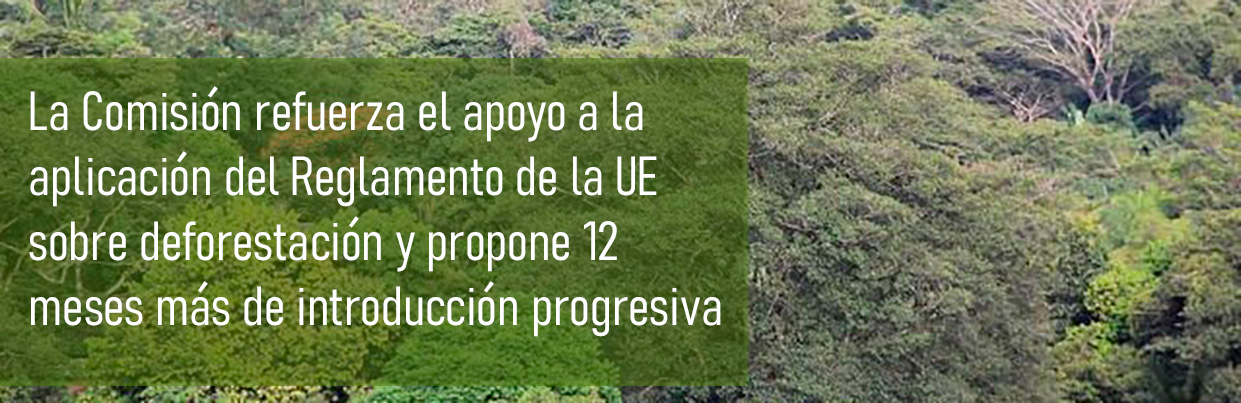 La Comisión refuerza el apoyo a la aplicación del Reglamento de la UE sobre deforestación y propone 12 meses más de introducción progresiva