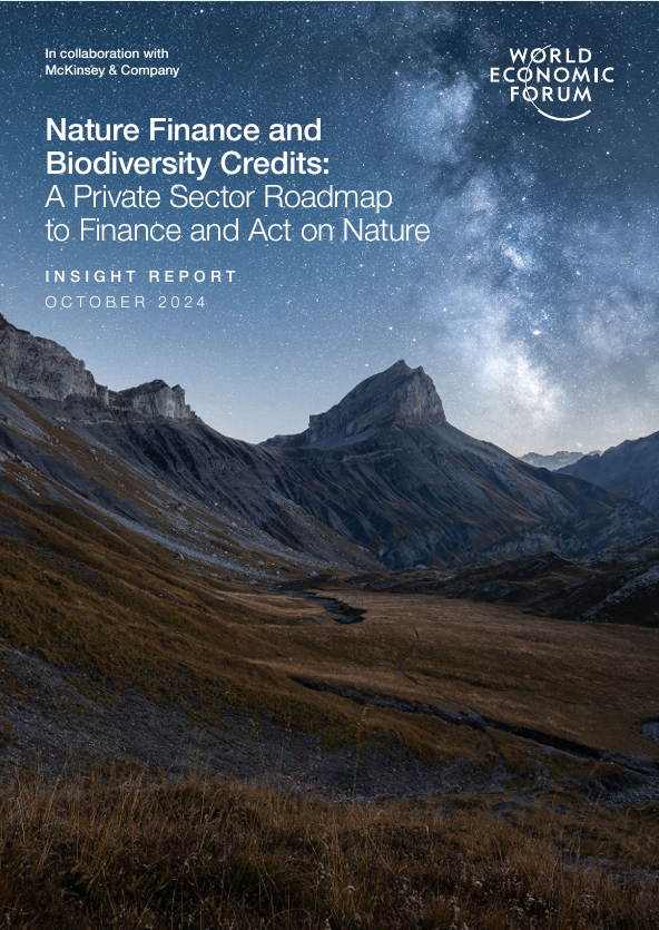 Nature Finance and Biodiversity Credits: A Private Sector Roadmap to Finance and Act on Nature