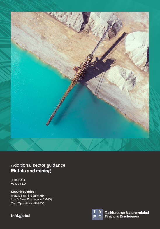 Additional sector guidance – Metals and mining