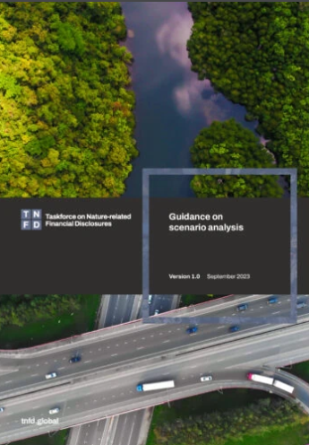 Guidance on scenario analysis