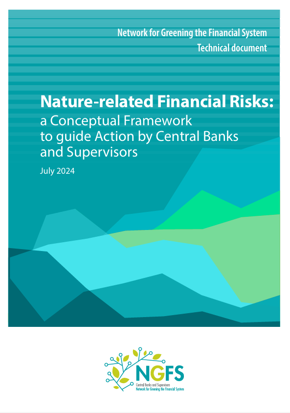 Nature-related Financial Risks: a Conceptual Framework to guide Action by Central Banks and Supervisors