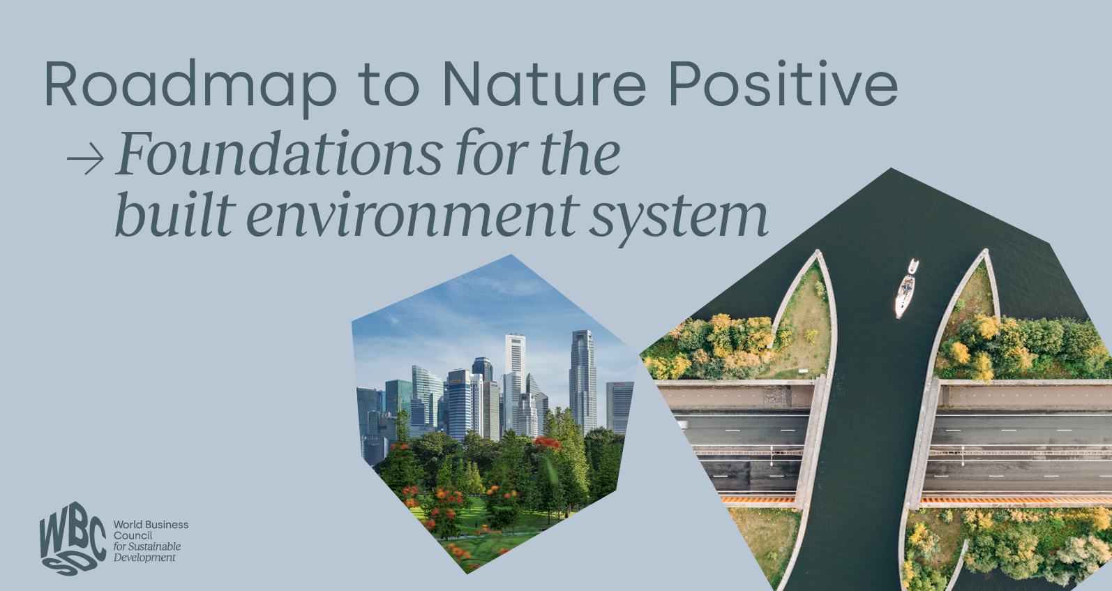 Nature Positive: Corporate Assessment Guide for Financial Institutions