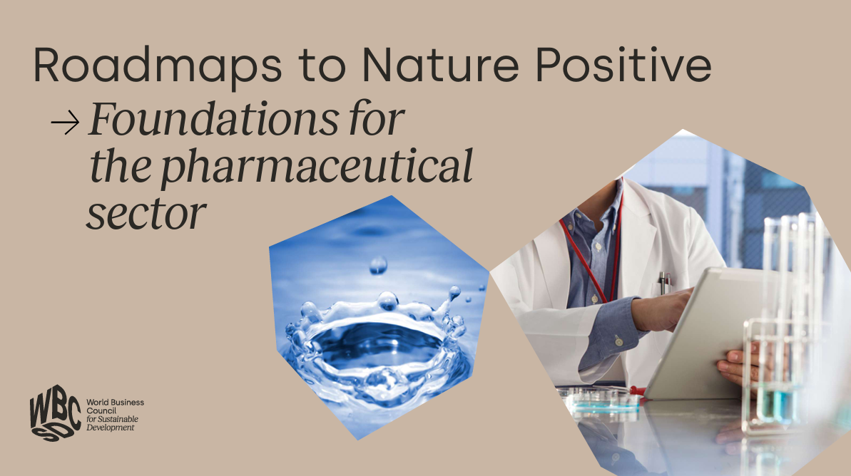 Roadmaps to Nature Positive: Foundations for the pharmaceutical sector