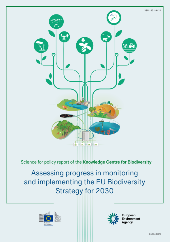 Assessing progress in monitoring and implementing the EU Biodiversity Strategy for 2030